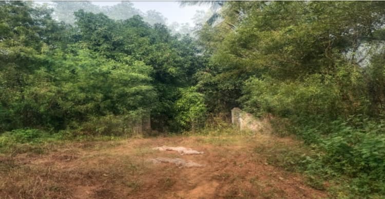 Land for sales