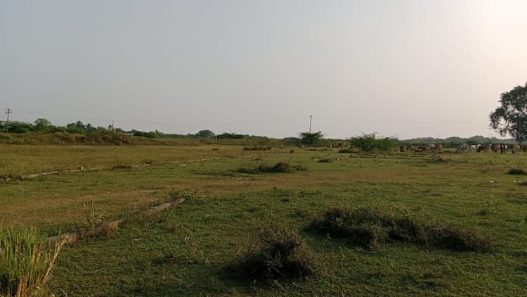 Residential plots for sale