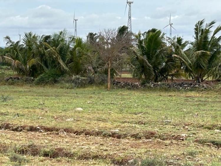 Land with Farm House for Sale