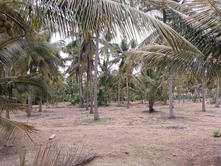 Land with Farm House for Sale