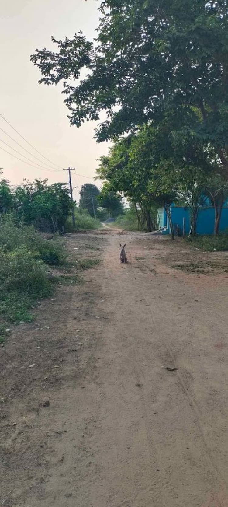 Single Property Image