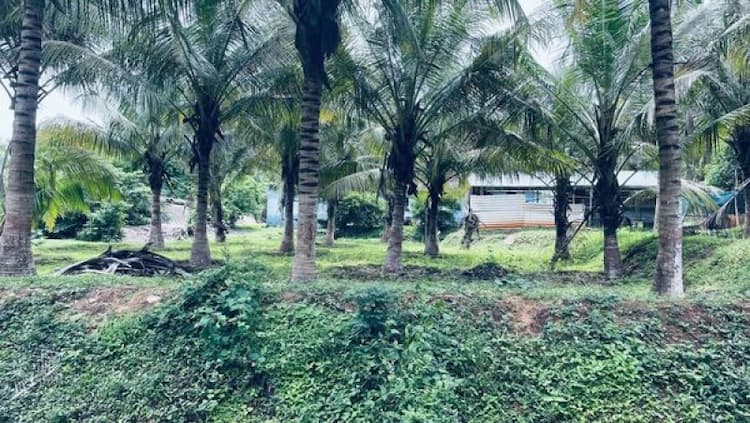 Land for Sale