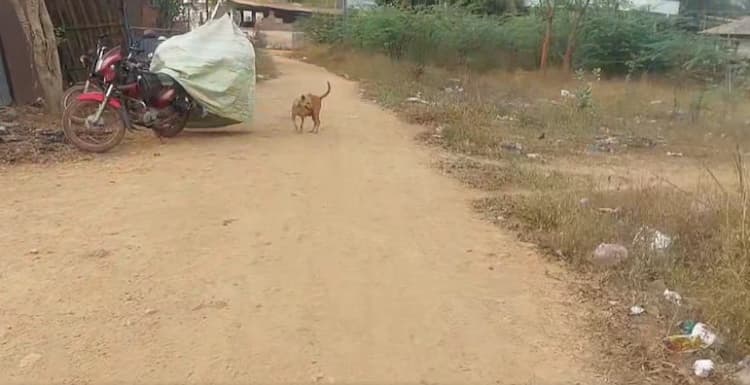 Single Property Image