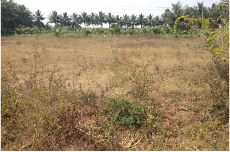 20 CENT LAND FOR SALES