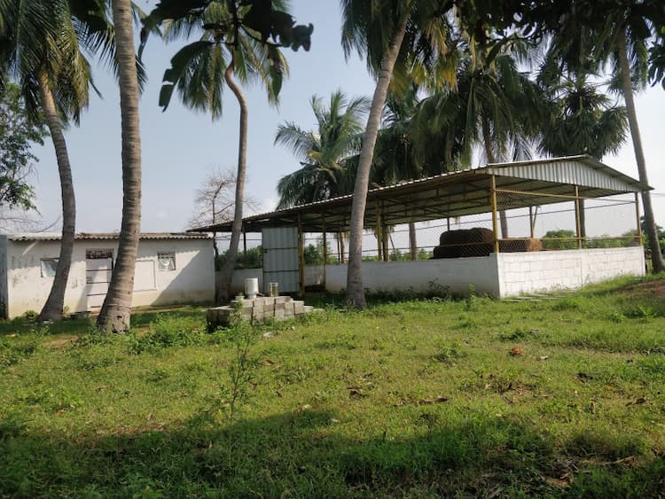 Single Property Image