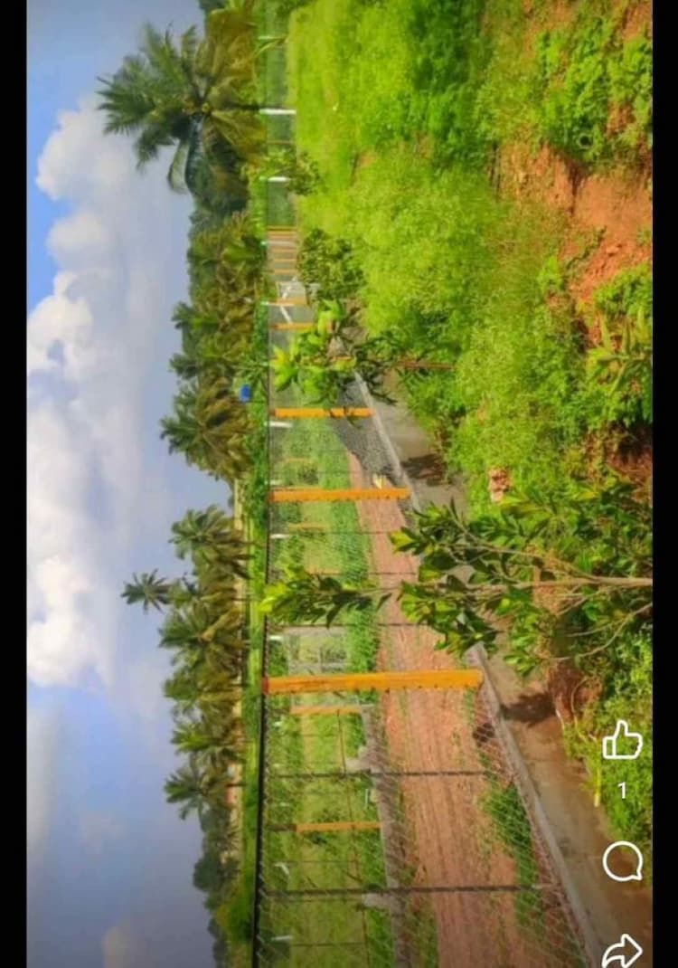 farm land for sale