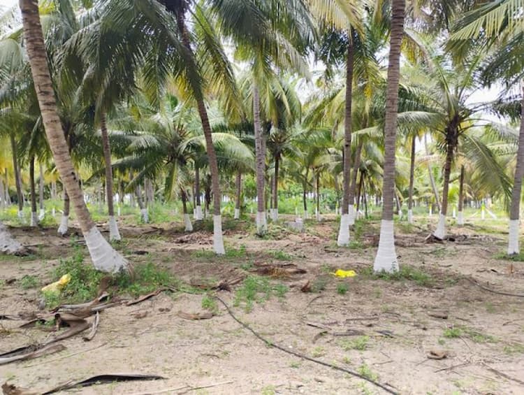 Single Property Image