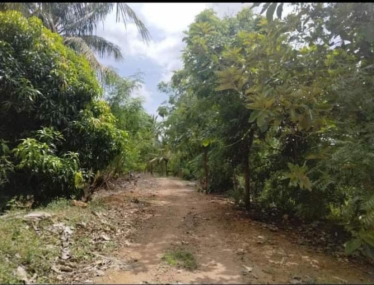 farm land for sale