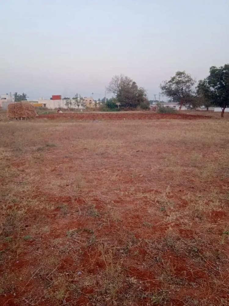 Empty Land for Sale
