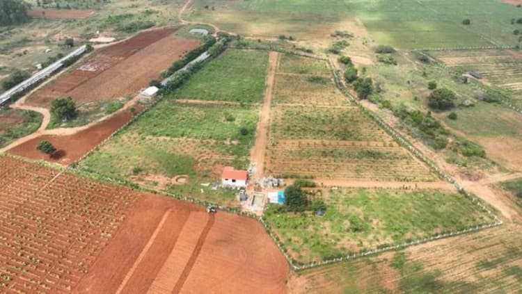 land for sale