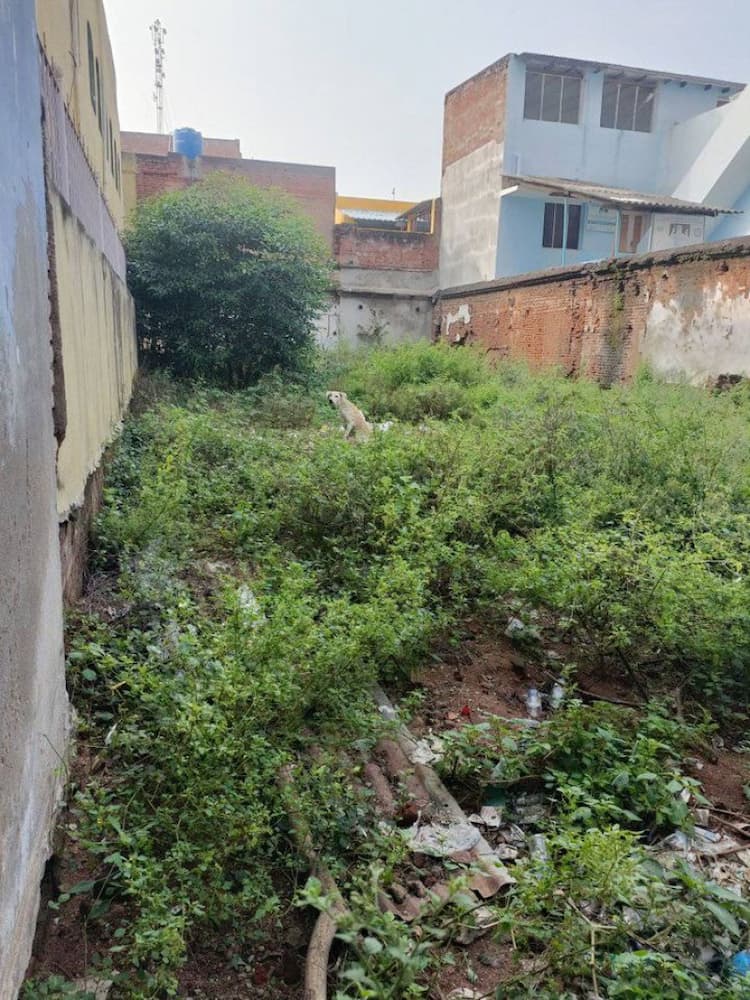 Plot for sale