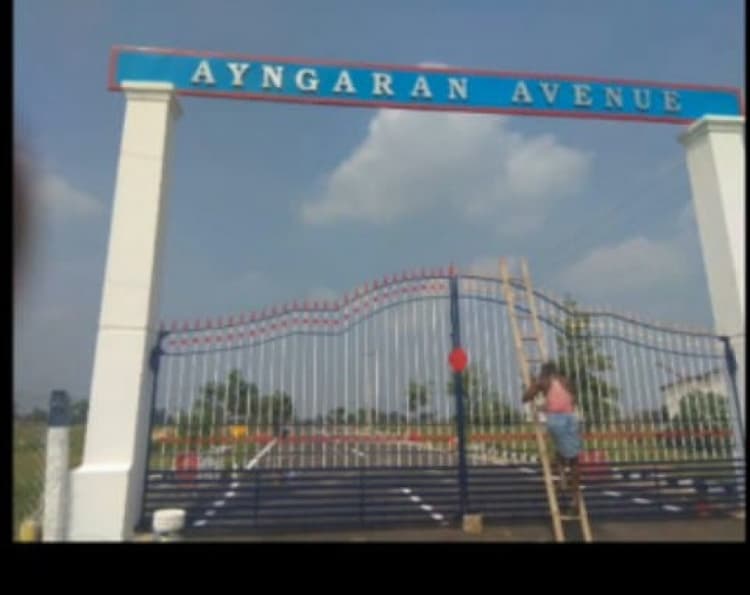 Ayngaran Avenue 