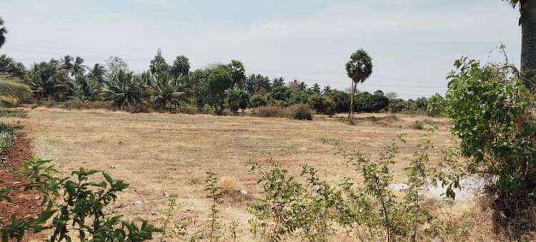 agri land for sale