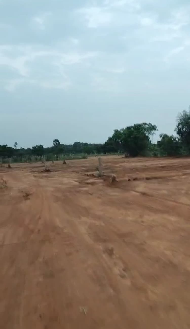 2.75 cent plot for sales