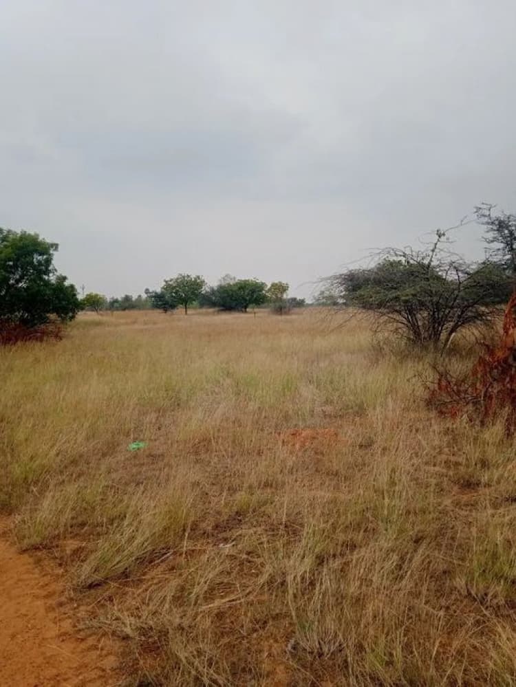 Red Soil Land For Sale