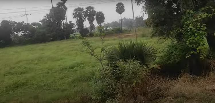 Single Property Image