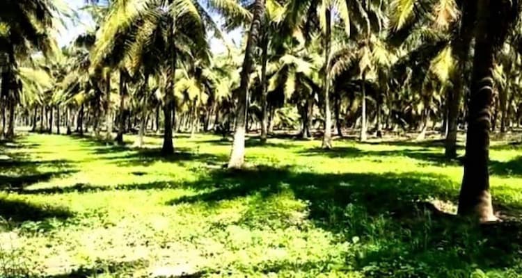 farm land for sale