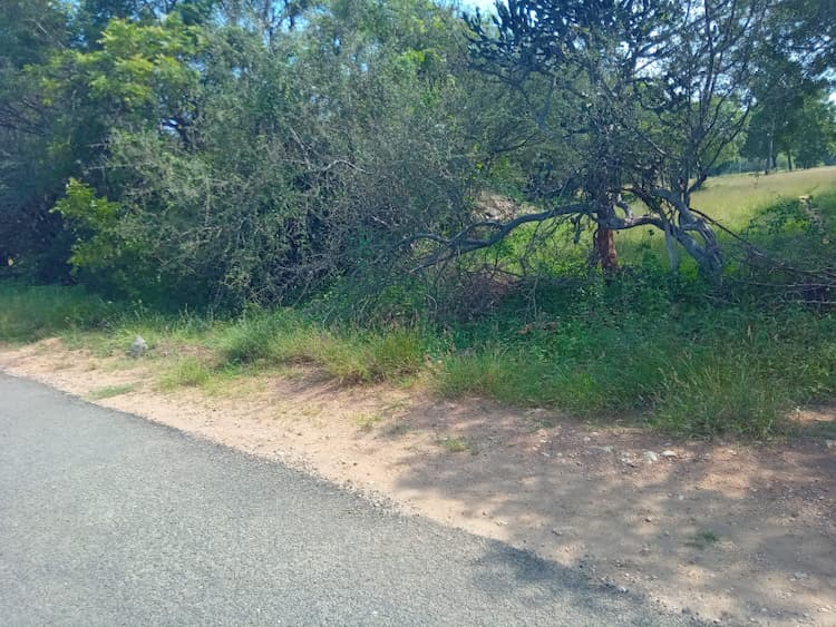 Single Property Image