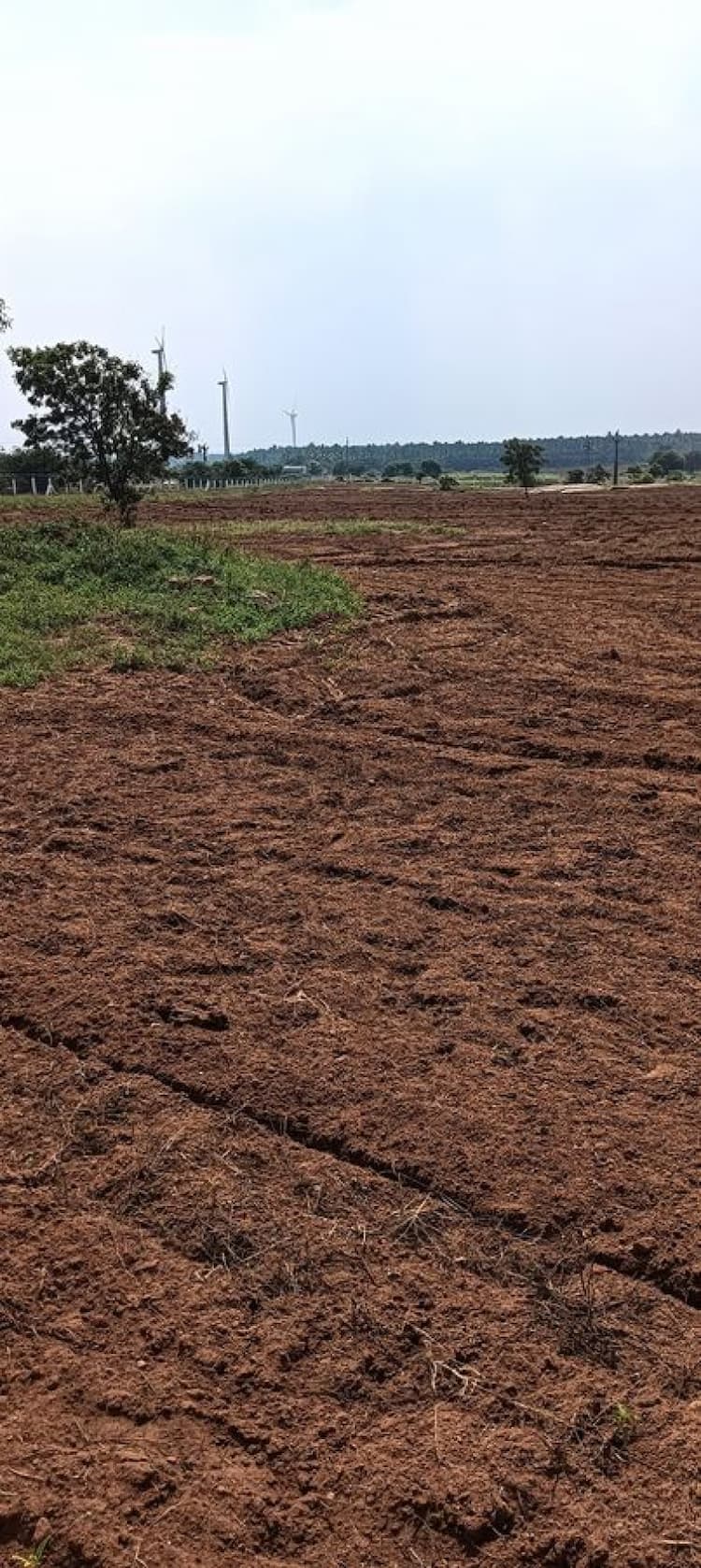 10 Acre Red Soil land for Sale in Gudimangalam