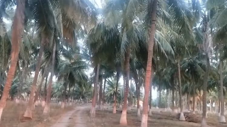 Single Property Image