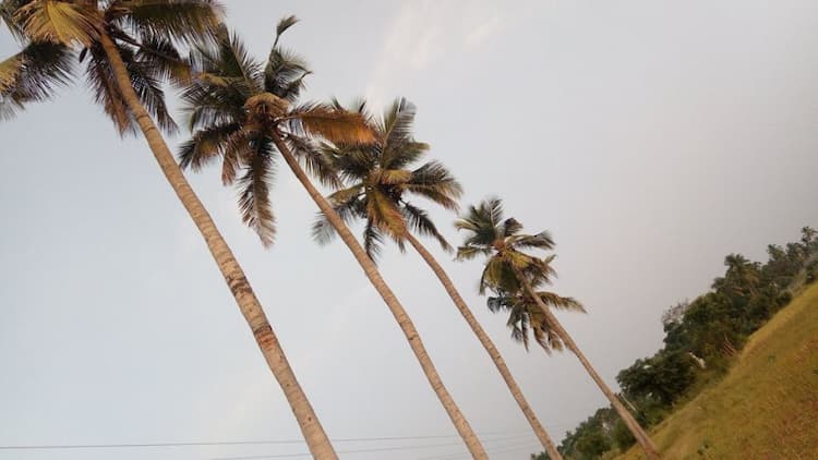 Sale 10 acre agriculture land with house