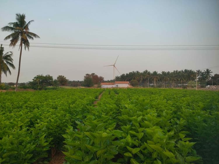 3 Acre Land for Sale