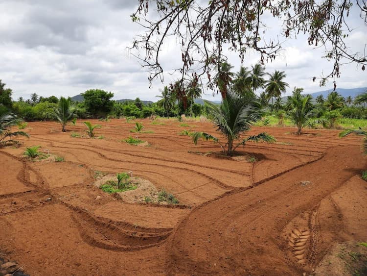 10 Acre land for sales