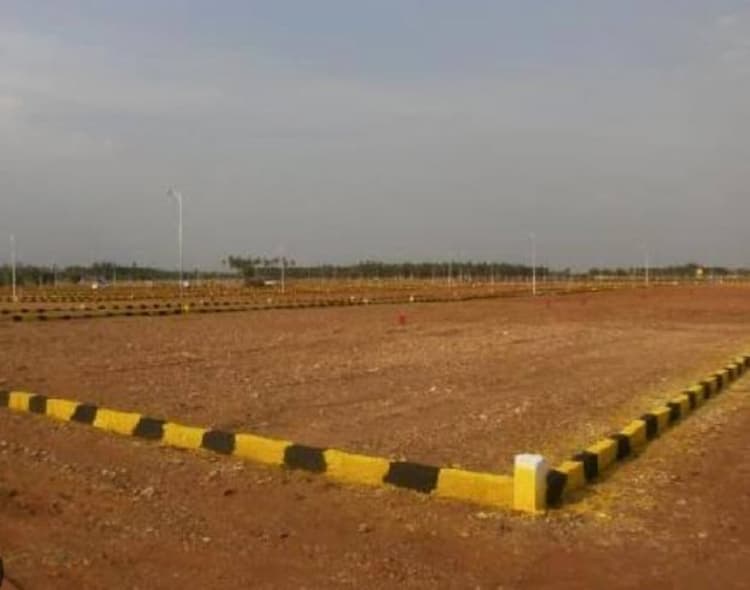 Farm Land for sale