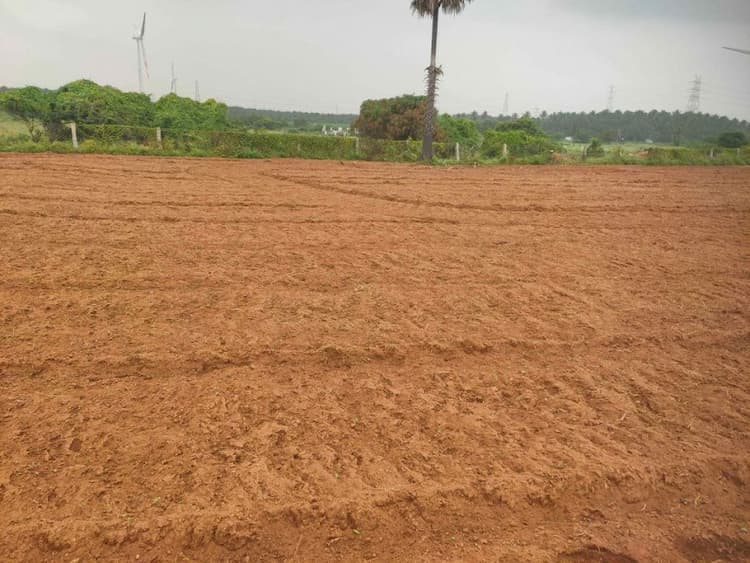 4 Acre Red Soil Farm for Sale Near Udumalaipettai