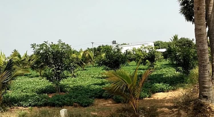 ECR FARM LAND SALE