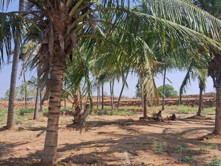 8 Acres land for sales