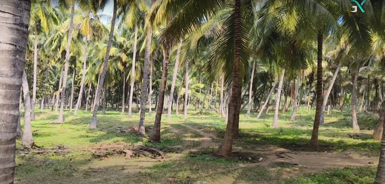 12 Acres Land for Sale