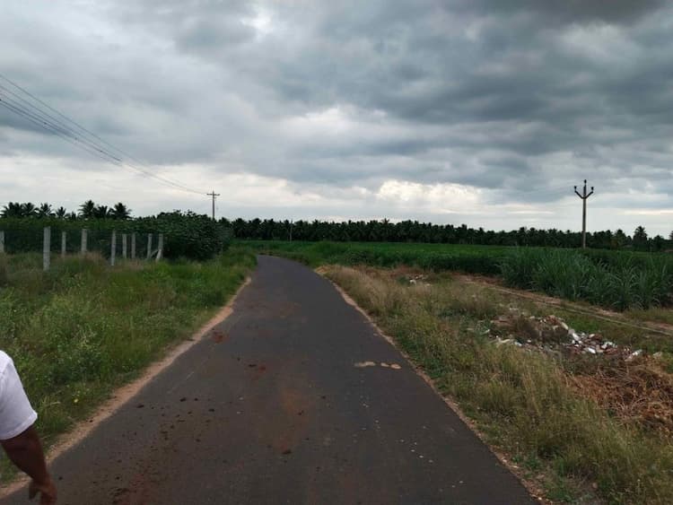 50cents farm land for sales