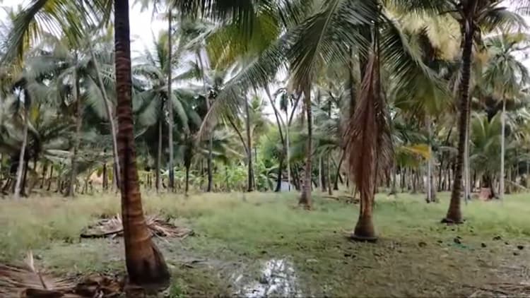 Single Property Image