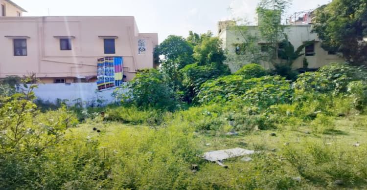 Land for sales