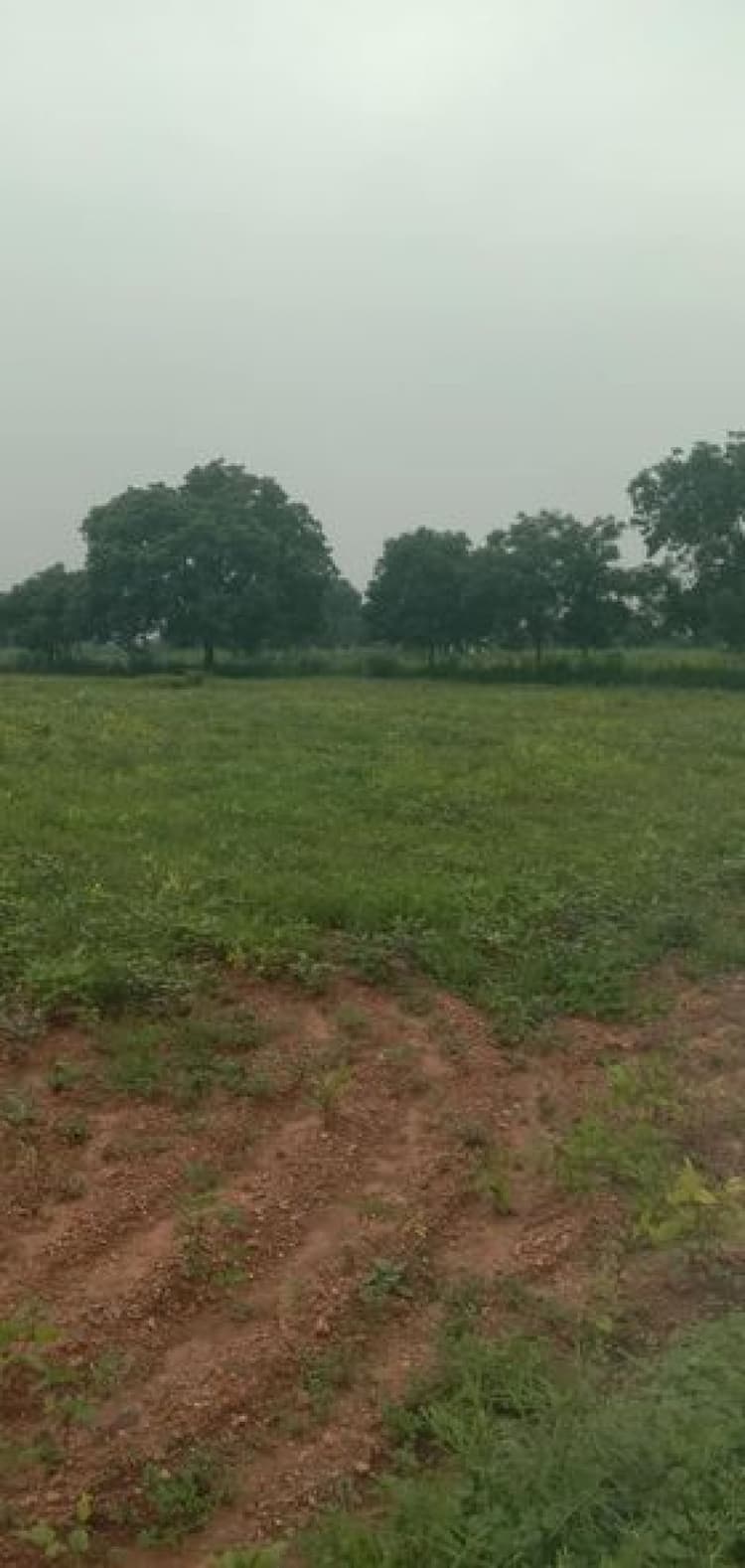 92 cent land for sales