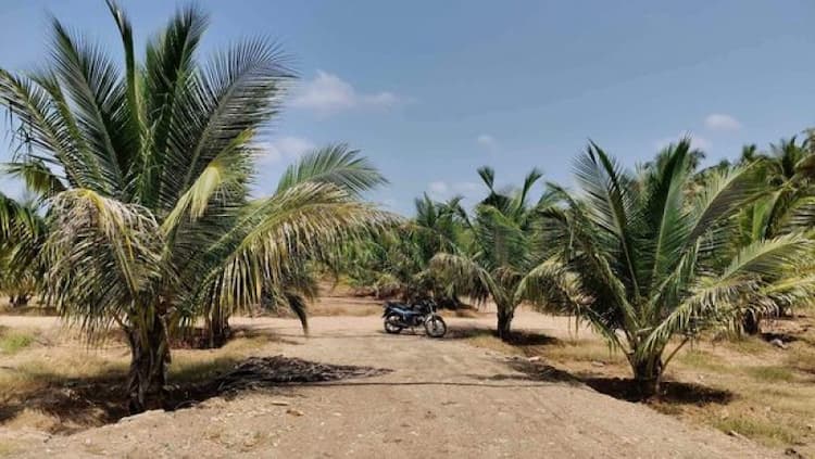 Single Property Image