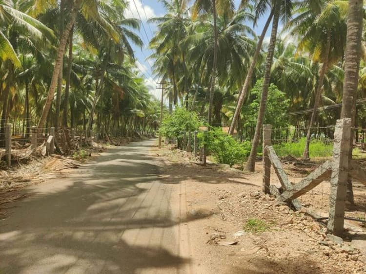 Land for Sale