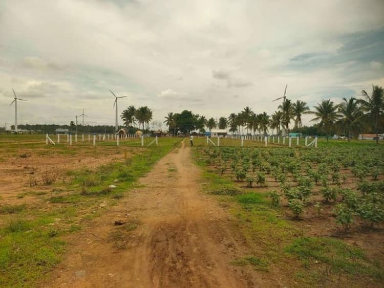 Single Property Image