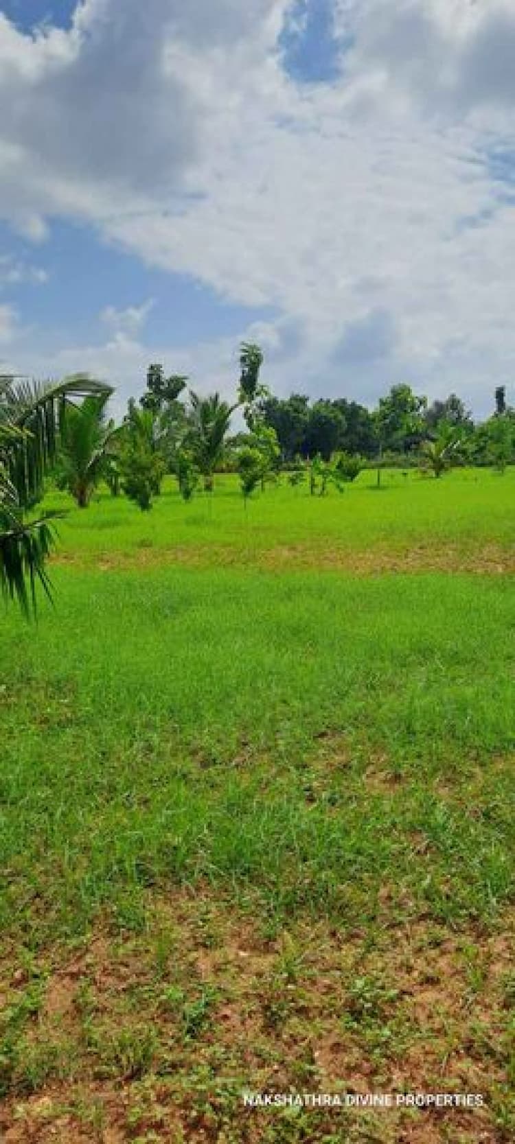 farm land sale