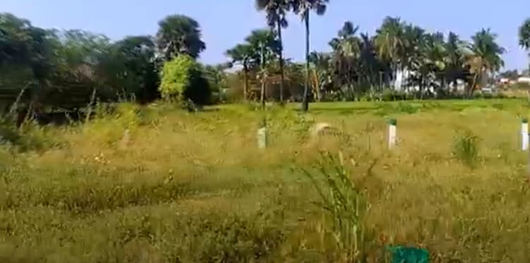 13 cent land for sales