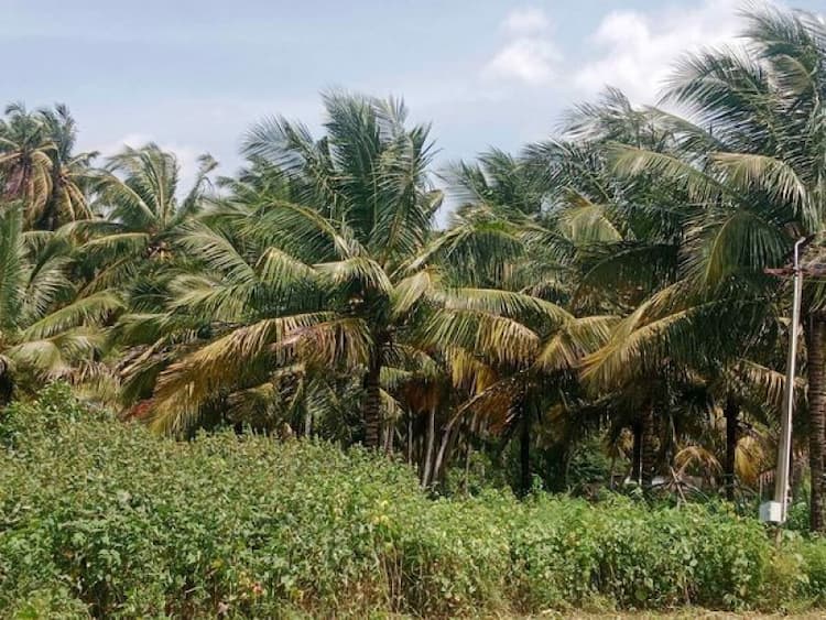 Single Property Image