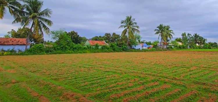 Land with Farm House for Sale