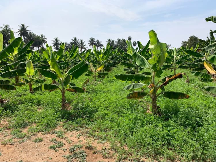 22 Cent Land for Sale in Avinashi