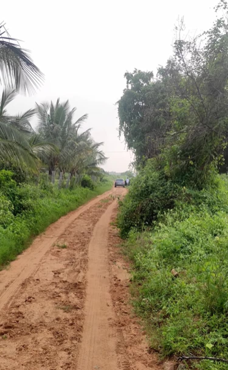 Single Property Image