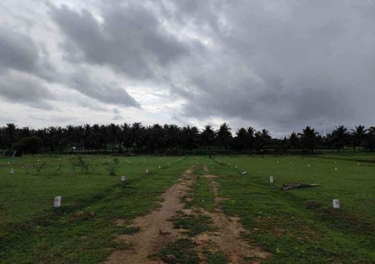 Single Property Image