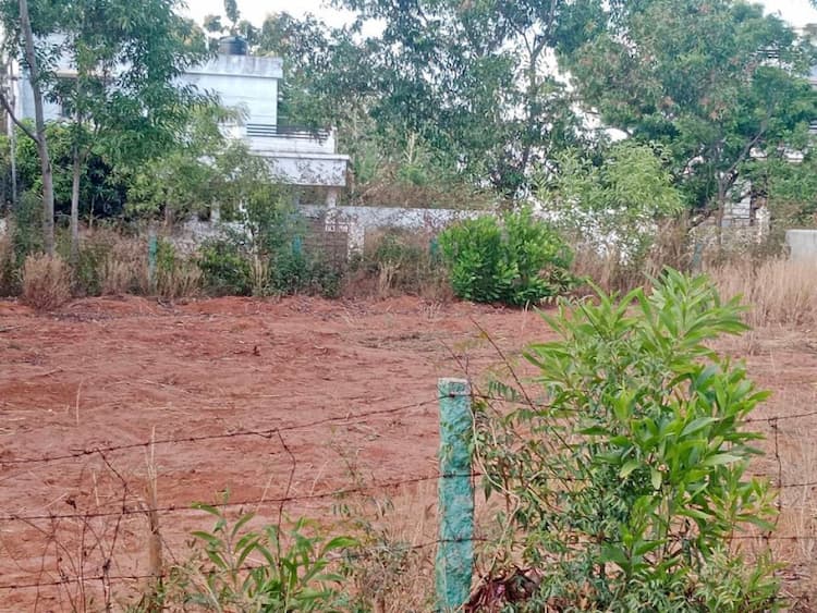 Green Global Promoter