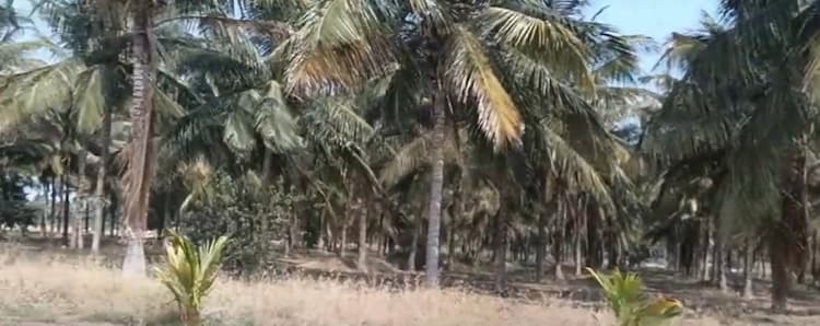 1 Acre Land for Sale