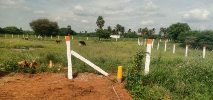 80 Cent Land for Sale