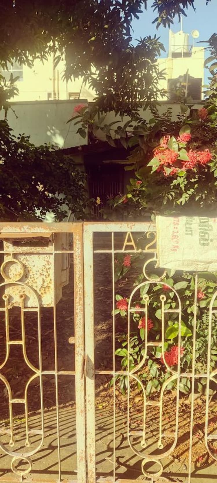 Single Property Image